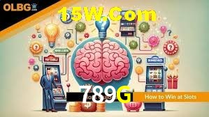 Experiência VIP 789G